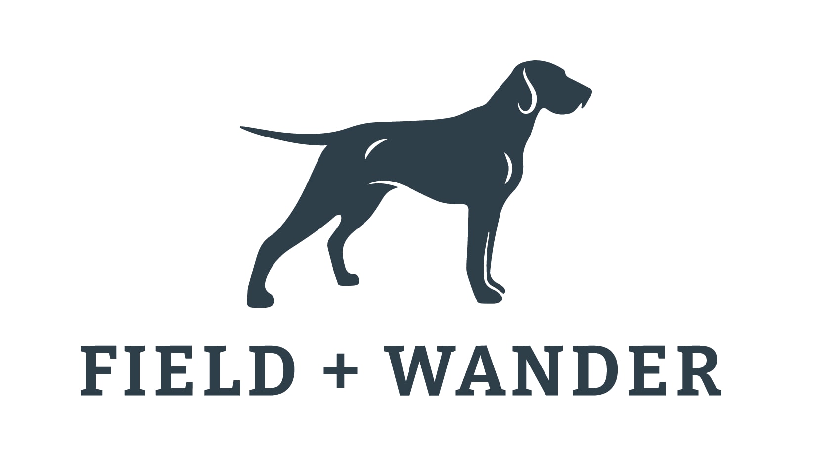 Field Wander